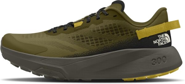 THE NORTH FACE Men's Altamesa 300 Hiking Shoe