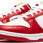 Nike Dunk Low Mens Sneakers Review